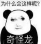 Allocen的头像-老婶的菜单 - 仅收录精品的小站