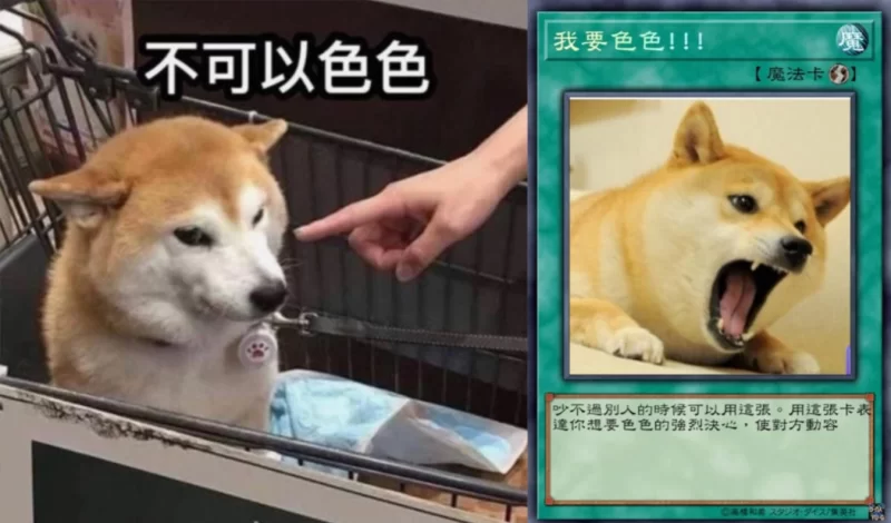 图片[1]-未登录跳转-老婶的菜单 - 仅收录精品的小站