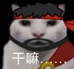 蒸鱼的头像-老婶的菜单 - 仅收录精品的小站