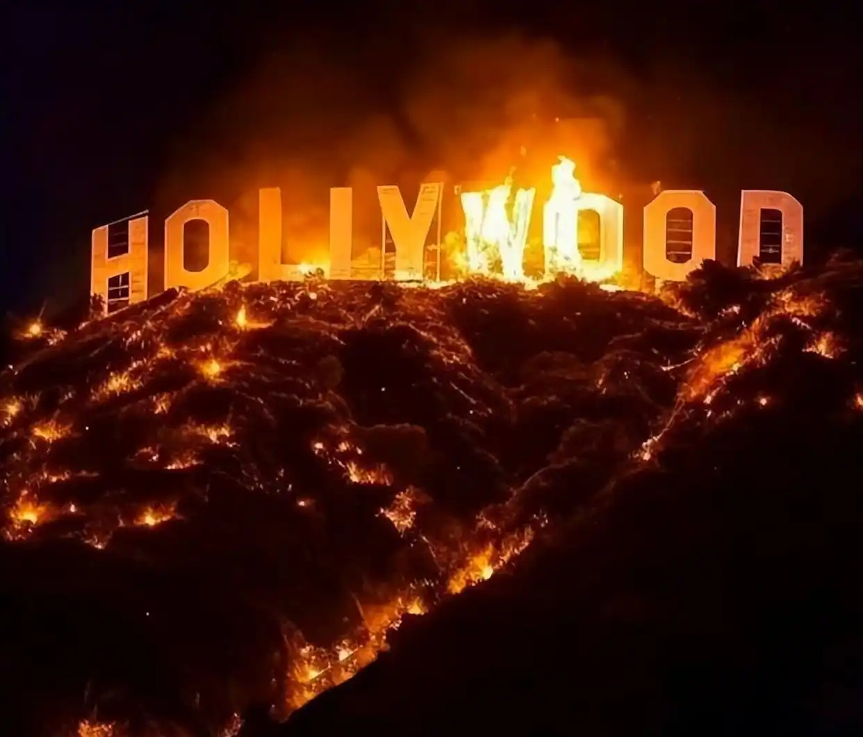 肘，跟我进屋的头像-老婶的菜单 - 仅收录精品的小站